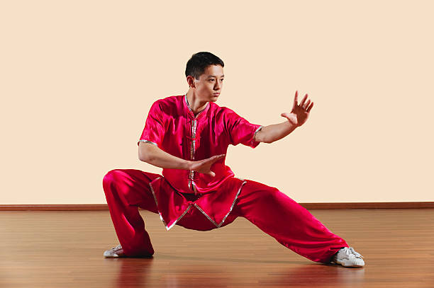 Royalty Free Kung Fu Pictures, Images and Stock Photos - iStock