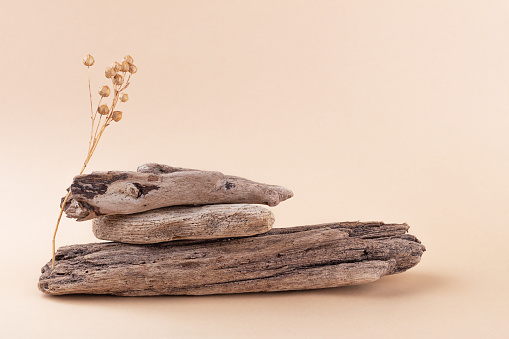 Eco-friendly natural monochrome composition on neutral beige background. Balancing pyramid of three driftwood and flax plant. Concept of harmony and balance. Podium for product presentation.