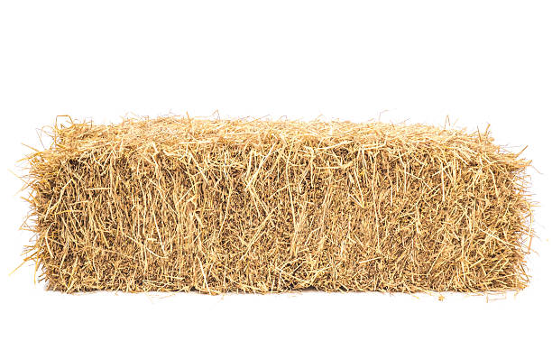 bale of hay isolated Bale of hay isolated on a white background as an agriculture farm and farming symbol of harvest time with dried grass straw as a bundled tied haystack. hay stock pictures, royalty-free photos & images