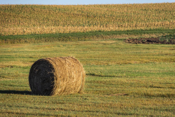 A bale of hay sitting in the field at sunset in the great plains stock photo