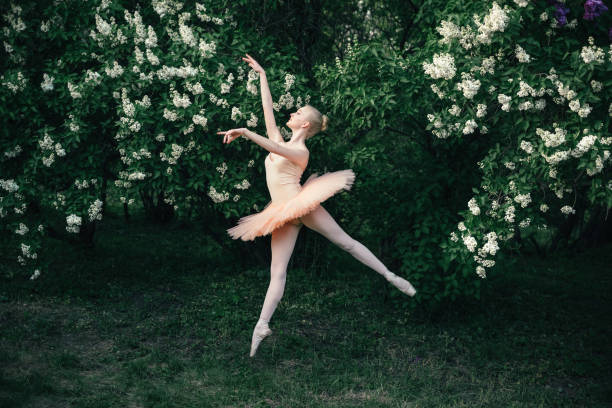 Ballerina dancing outdoors classic ballet poses in flowers landscape stock photo