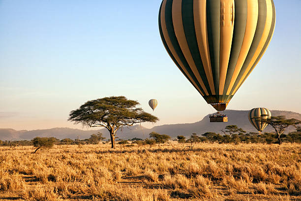 Three hot air balloons drift over the plains of The Serengeti National Park at dawn.