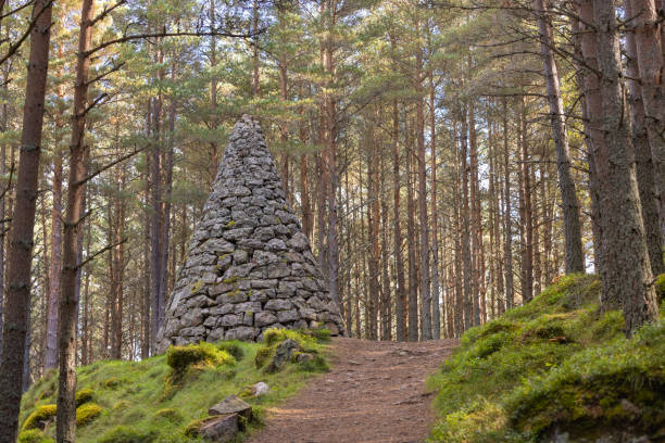 Balmoral forest in Ballater, Scotland stock photo
