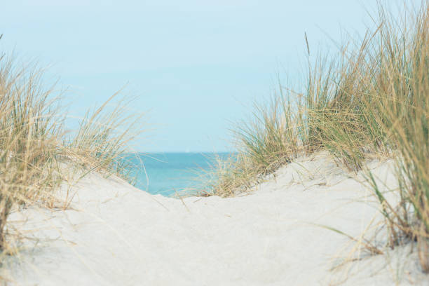 Baltic sea dunes over blue coastline background stock photo