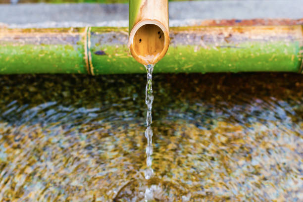 Bambus Wasser Bilder und Stockfotos iStock Bambus Wasser Bilder und Stockfotos iStock