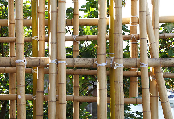 bamboo fence stock photo