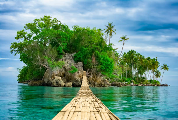 Bamboo hanging bridge over sea to tropical island Bamboo pedestrian hanging bridge over sea to remote desert island. Beautiful tropical landscape. Travel lifestyle. Wild nature vacations. Adventure ecotourism concept. Way to Paradise. Exotic scenery eco tourism stock pictures, royalty-free photos & images