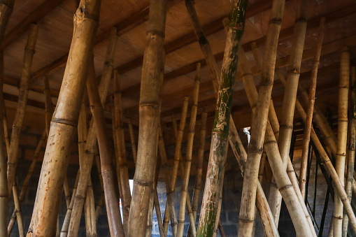 Why Engineers Use Bamboo For Building