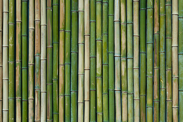 Bamboo texture Bamboo texture bamboo material stock pictures, royalty-free photos & images