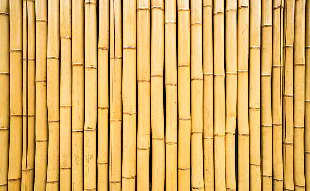 Bamboo texture Bamboo texture bamboo material stock pictures, royalty-free photos & images