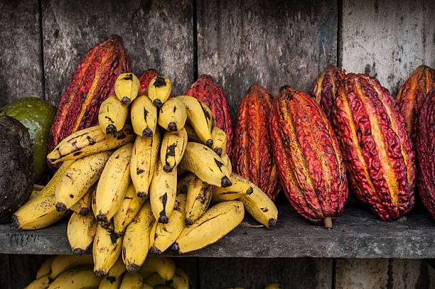 Banana, Cocoa, Latin America Fruit street market stock photo