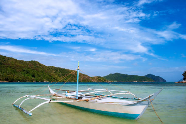 banca łódź na plaży vigan wyspa (snake island) w regionie el nido palawan na filipinach. - snake island zdjęcia i obrazy z banku zdjęć