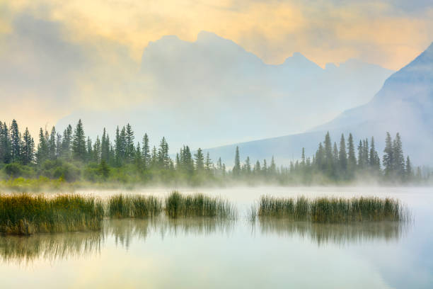 Banff National Park in Alberta Canada Mount Rundle and Vermillion Lakes at dawn in Banff National Park in the Canadian Rockies wilderness stock pictures, royalty-free photos & images