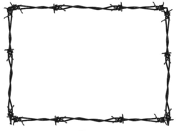Barb frame on white baclground Barb frame barbed wire stock pictures, royalty-free photos & images