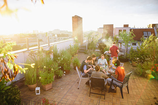 barbecue, roof garden, medium group of people, summer, party, young adults celebrating a party on roof garden, barbecue, lens flare, back lit roof garden stock pictures, royalty-free photos & images