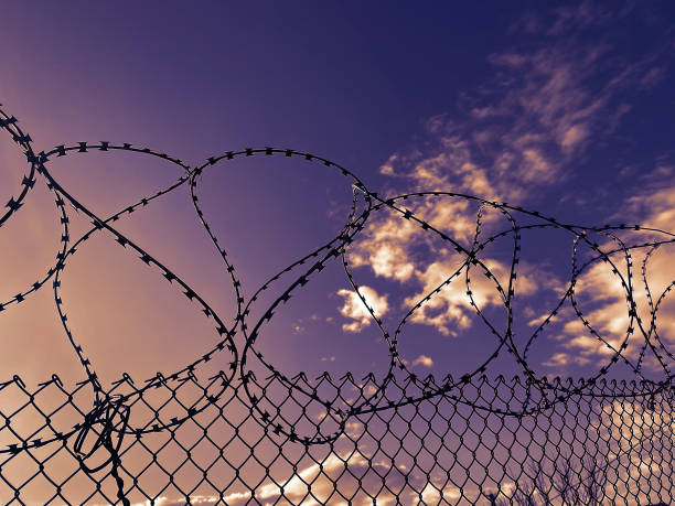 Barbed wire fence. Stretched and wound metal wire. Concept of injustice, prison, restriction of rights and freedoms. stock photo