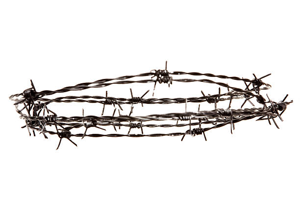 Barbed wire Barbed wire white-isolated. barbed wire stock pictures, royalty-free photos & images