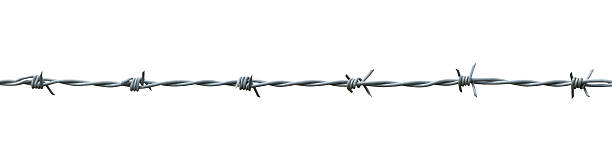 barbed wire barbed wire isolated on white barbed wire stock pictures, royalty-free photos & images
