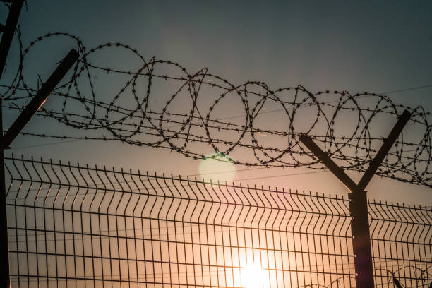 Barbed wire steel fence against the immigration in europe. Restricted area. barbed wire steel wall against the immigrations in europe border patrol stock pictures, royalty-free photos & images