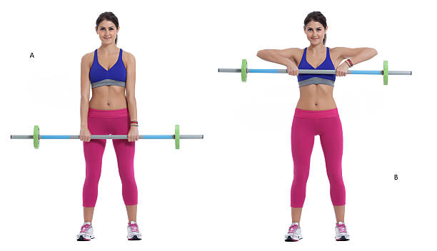 Barbell Upright Row Step by step instructions: Stand up and hold the barbell with your hands in front of your thighs, hands at a medium-grip position, palms facing backwards. (A) Raise the barbell until it reaches the top of your chest and lower it back down slowly. (B) good posture stock pictures, royalty-free photos & images