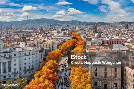 istock Barcelona Spain, high angle view city skyline at La Rambla street with autumn foliage season 1338651203