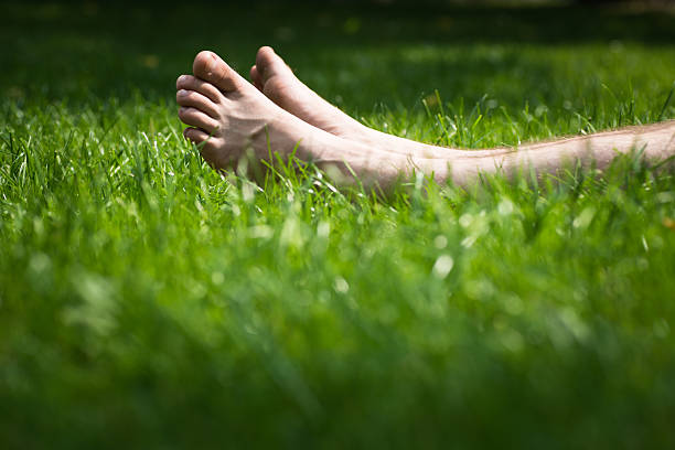 barefoot in the grass stock photo