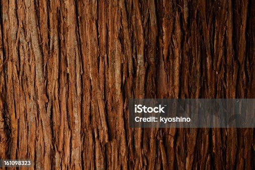 istock Bark of cedar tree texture background 161098323
