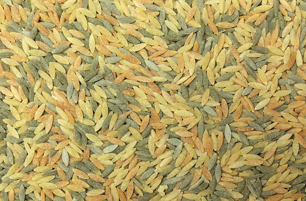 barley stock photo