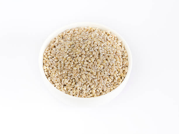Barley stock photo