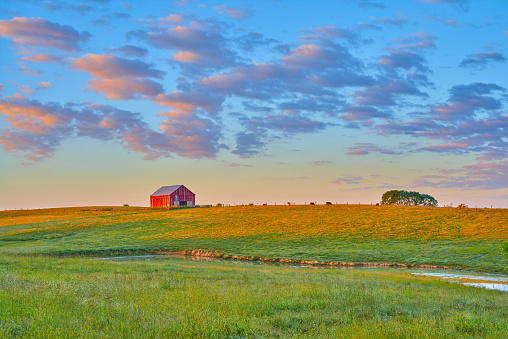 Barn and Feild at Sunrise with Puffy Clouds.