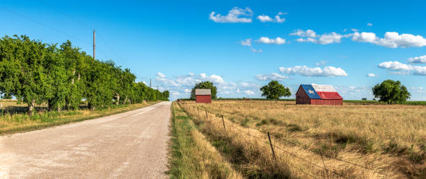 Barn with Texas Flag stock photo