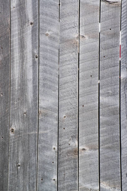 Barn wood weathered wood for backgrounds stock photo