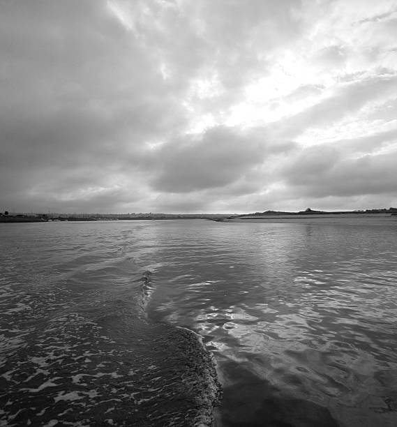 barneville water patterns black and white view of  the patterns left in the water behind a boat barneville carteret stock pictures, royalty-free photos & images