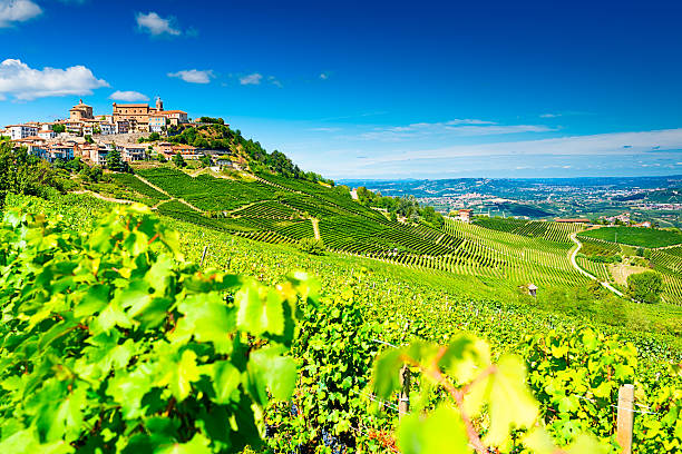 Barolo vineyards stock photo
