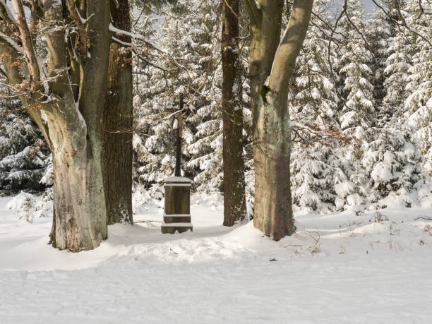 Photo of Baroque iron cross on sandstone pedestal with crucifix along snowy path with big beech trees at snow covered spruce tree forest. Brdy Mountains, Hills in central Czech Republic