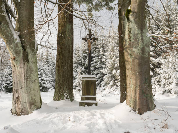 Photo of Baroque iron cross on sandstone pedestal with crucifix along snowy path with big beech trees at snow covered spruce tree forest. Brdy Mountains, Hills in central Czech Republic