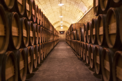 Barrel rows in a winery