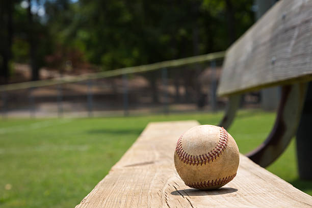 Baseball bench stock photo