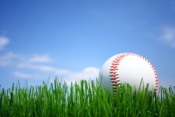 Baseball laying on the grass floor stock photo