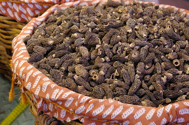 Basket of Mushrooms stock photo