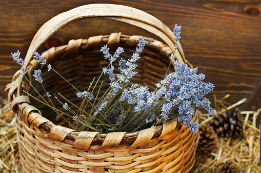 Basket with a dry lavender close up