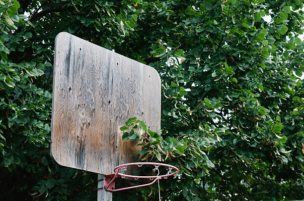 Basketball hoop by a leafy tree stock photo