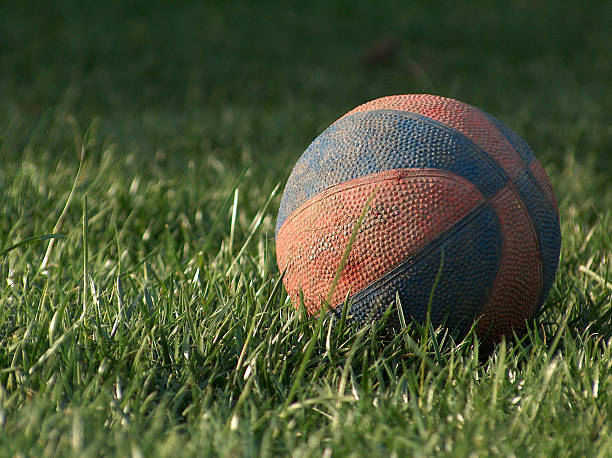 Basketball in the Grass stock photo