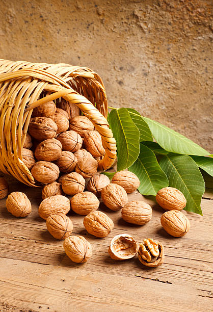 Basketful of walnuts stock photo