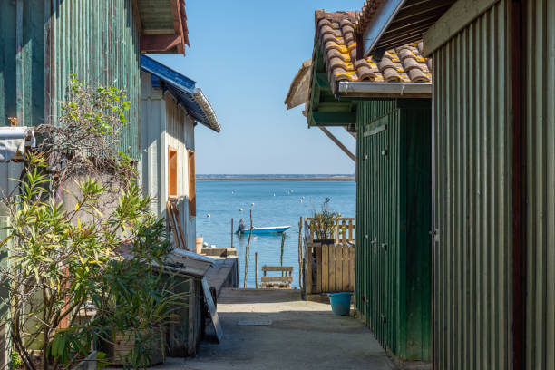 Bassin d'Arcachon (France), Bird Island view between fishermen's houses View of bird island, in the background, between the fishermen's houses of the village of Le Canon, near Cap Ferret pelvis stock pictures, royalty-free photos & images