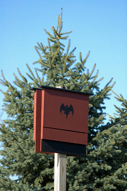 Bat House stock photo