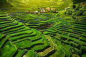 The 2000-year-old World Heritage Ifugao rice terraces in Batad, northern Luzon, Philippines.