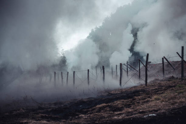 Battlefield Battlefield covered with poison gas, barbed wire and trenches. battlefield stock pictures, royalty-free photos & images
