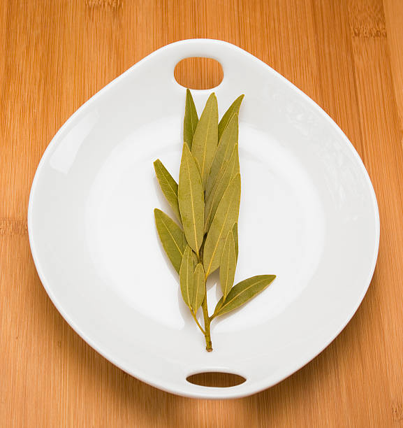 Bay Leaves stock photo