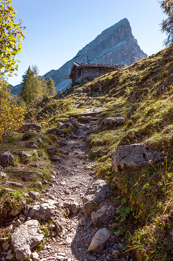 Bayerische Alpen Stock Photo - Download Image Now - iStock